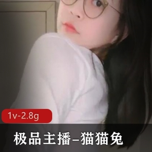 半糖主播猫猫兔：1V2.8G直播录制视频，舞蹬美少女桃子的舞蹈秀